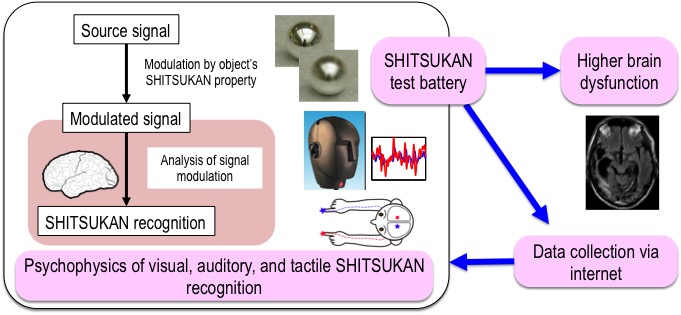 Psychophysics of visual,auditory,and tactile SHITSUKAN recognition. SHITSUKAN test battery Higher brain dysfunction. Data collection via internet.