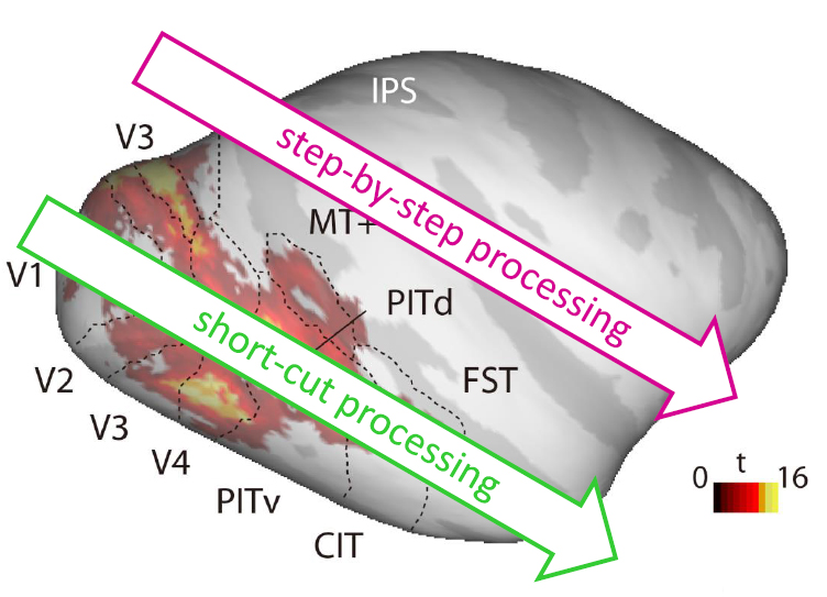 step-by-step processing. short-cut processing.