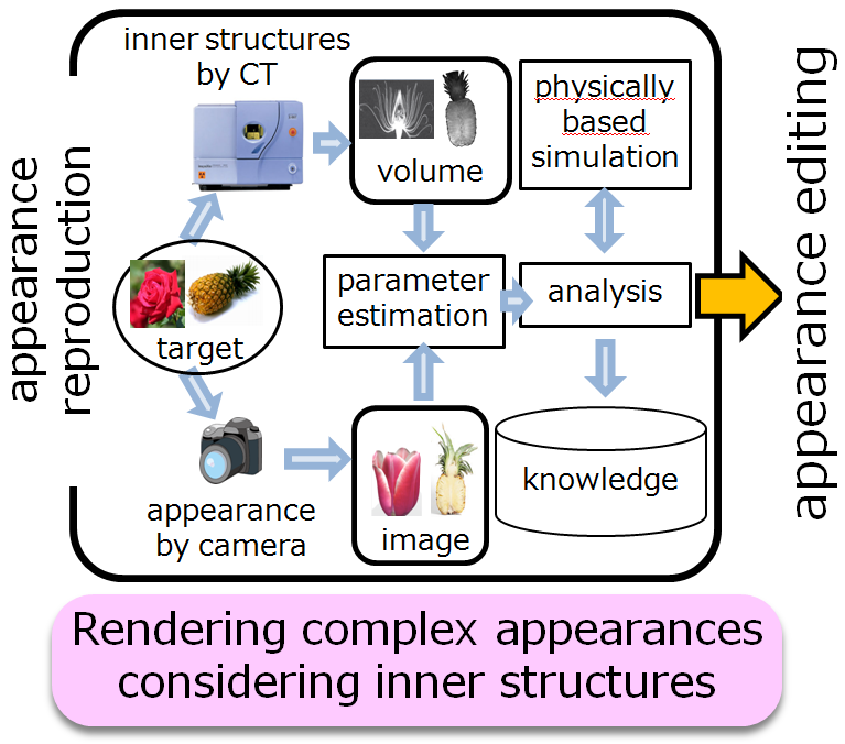Rendering complex appearances considering inner structures.
